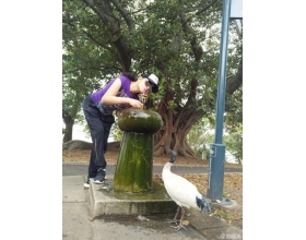 刘晓庆公园不羁喝自来水 自侃遭野蛮侵犯