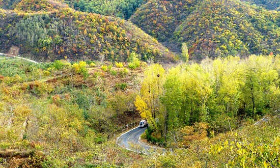 北京10个免费赏红叶的自然风光，媲美香山(图)