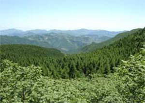 白草衅自然风景区