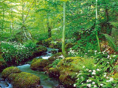 白虎涧自然风景区