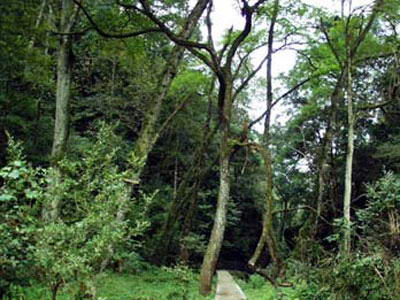 仓米古道旅游区