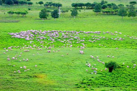 蓝天牧场风景区