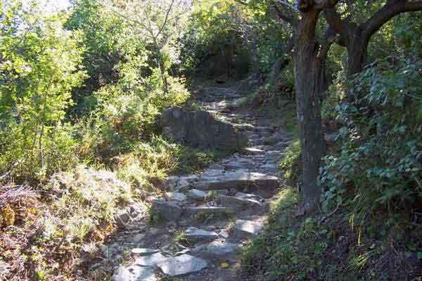 阳台山自然风景区