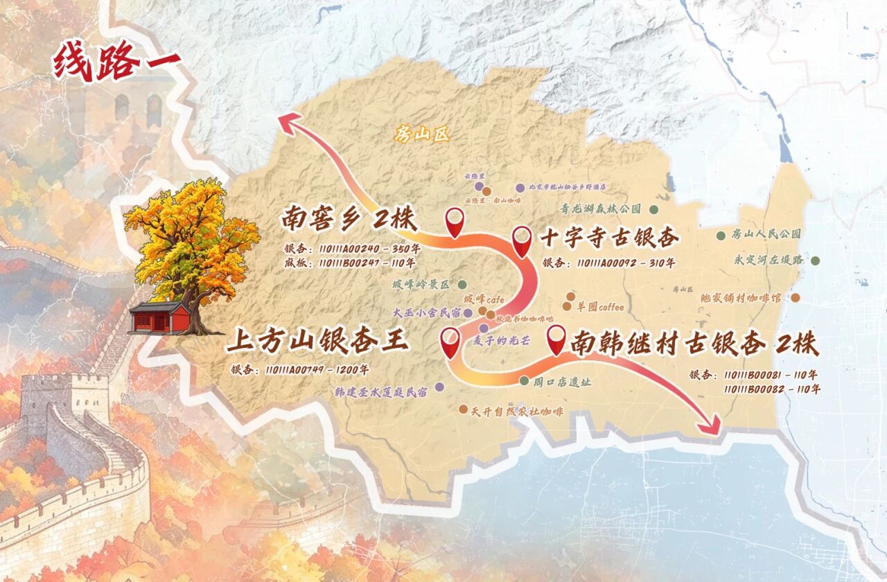 跟着古树游京郊 北京的秋 美不胜收
