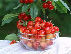 舒淇如何吃出诱人三围