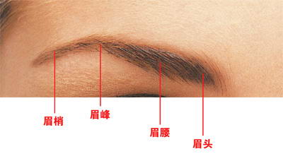 眉毛有型 化什么妆都美丽