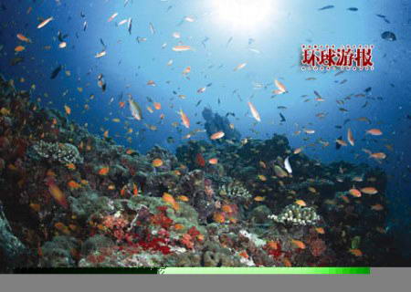 亚洲三大潜水胜地_亚洲三大潜水胜地 体验海底漫游