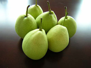 冬天到吃什么水果最好