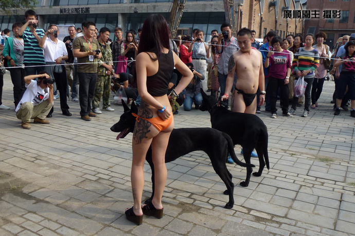 北京纹身艺术节实拍照片