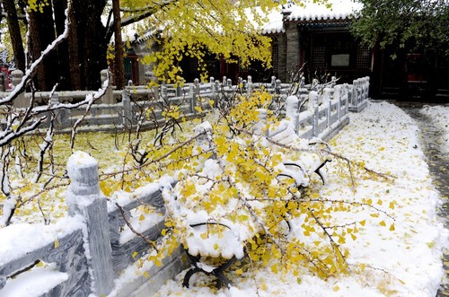 北京10大雪景最佳拍摄地推荐-京城雪后景点照片