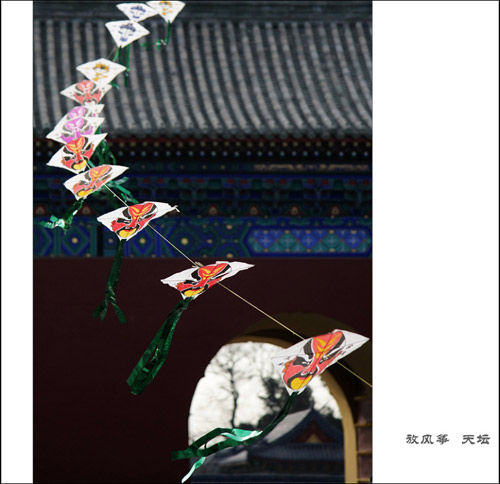 北京能放风筝的地方