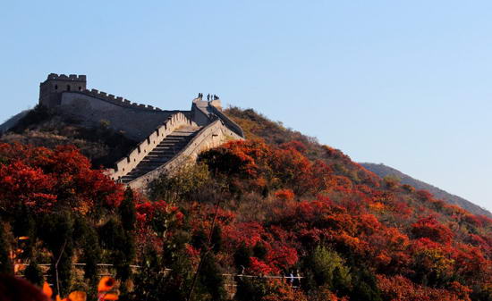 八达岭森林公园 八达岭森林公园