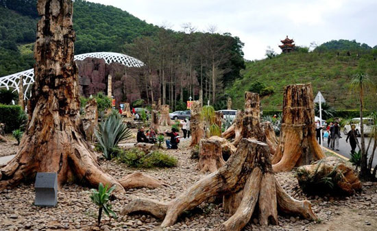 古木化石群  硅化木  延庆