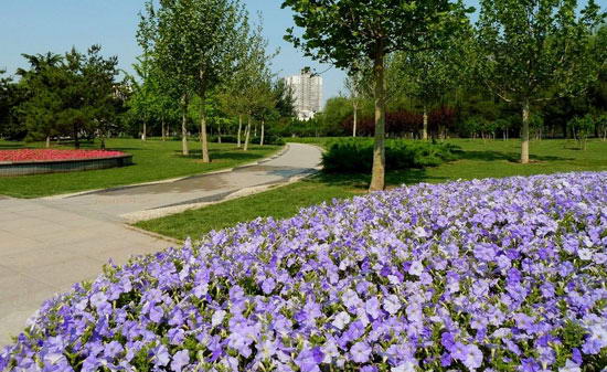 兴隆公园 兴隆公园