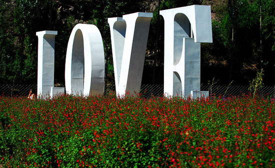 北京紫海香堤香草艺术庄园