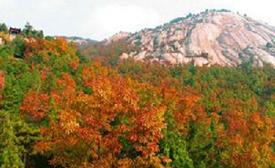 莲花山森林公园