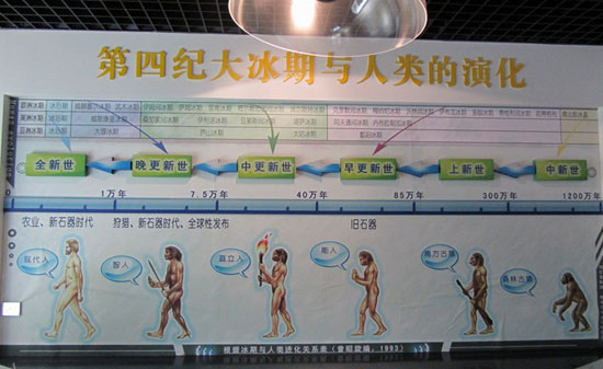 第四季冰川博物馆